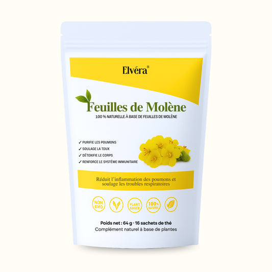 Elvéra | Tisane à la feuille de Molène