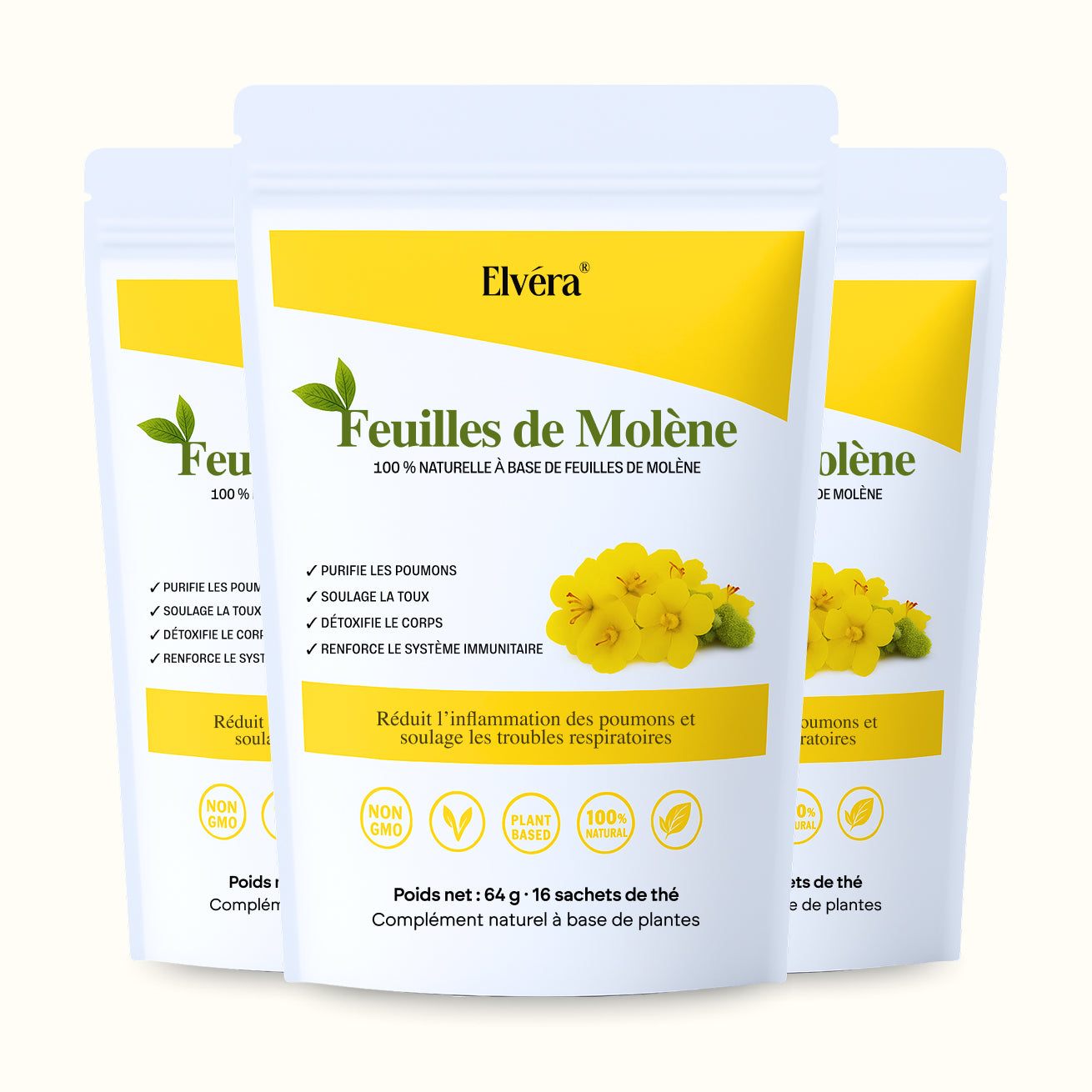 Elvéra | Tisane à la feuille de Molène